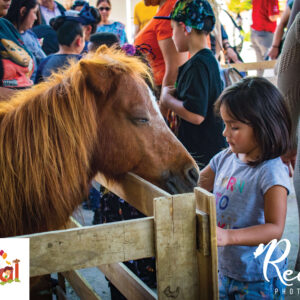 DFW Fall Fest-Petting Zoo