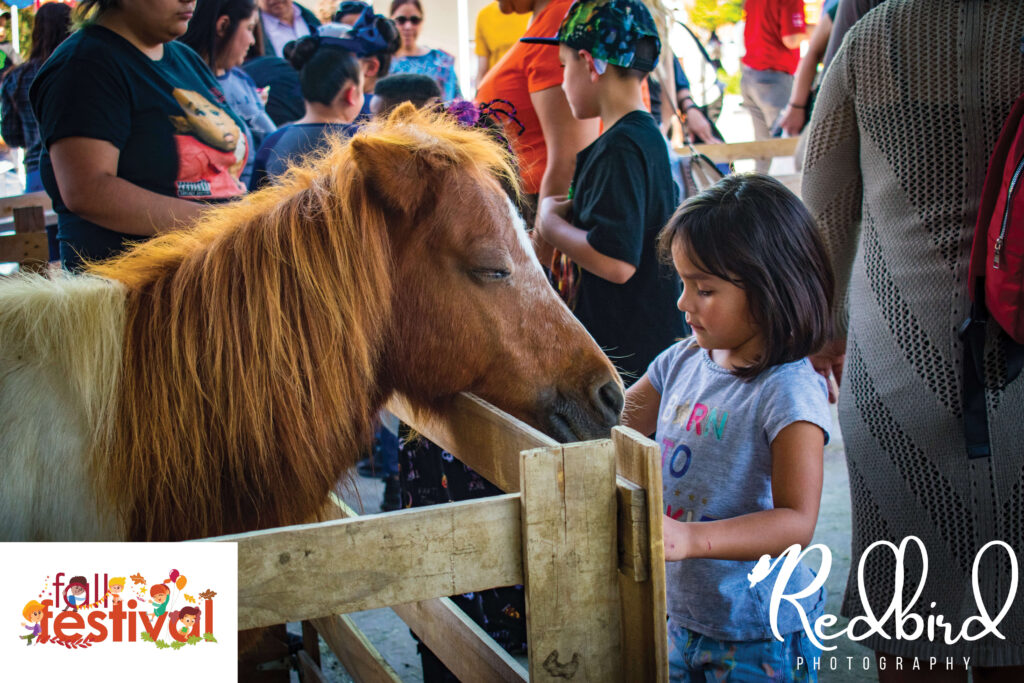 Family fun in the petting zoo at a DFW Fall Fest past event.