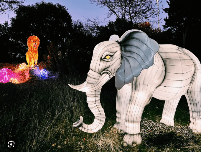 Boo at the Zoo Dallas