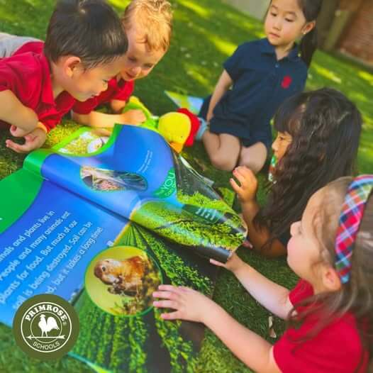 Preschool children exploring a colorful picture book together outdoors