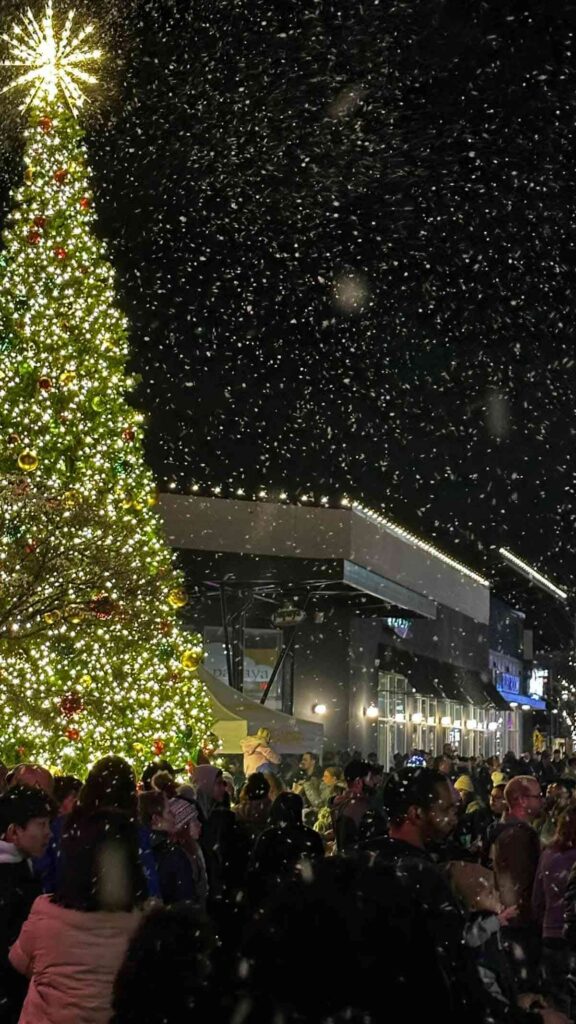 Christmas Snow from Pier Party of 5